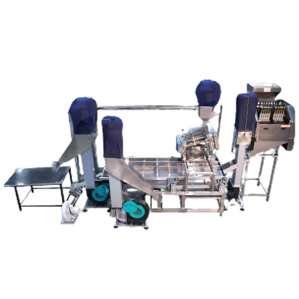 cashew processing machine