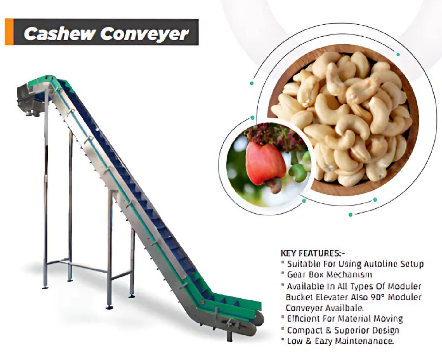 cashew conveyor for cashew processing factory